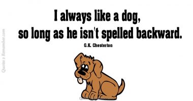 I always like a dog…