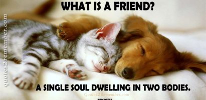 What is a friend?…