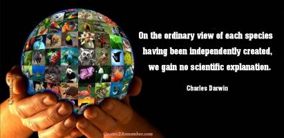 On the ordinary view of each…