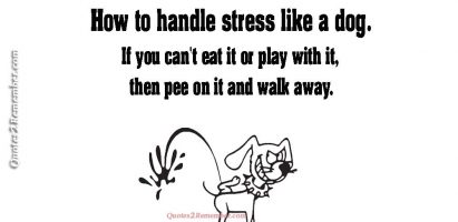 How to handle stress…