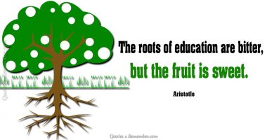 The roots of education…
